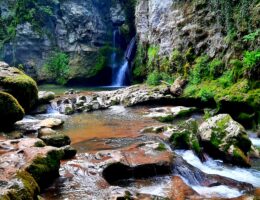 Tine de Conflens