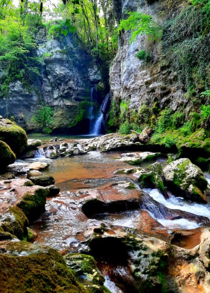 Tine de Conflens