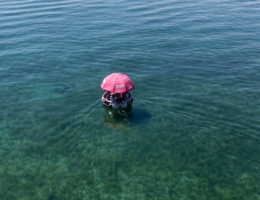 bbq boat